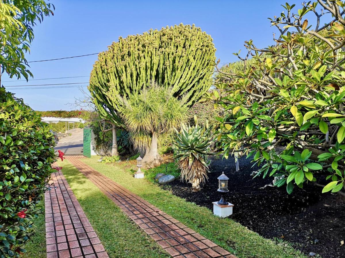 Вілла Nanou House La Matanza De Acentejo Екстер'єр фото